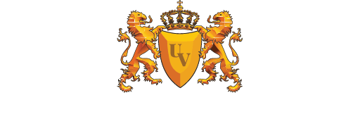Logo Uniwersytetu VIZJA